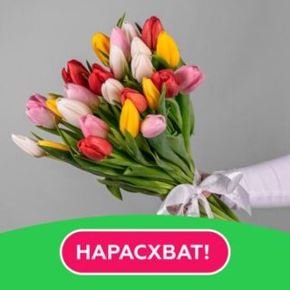 Букет из 25 тюльпанов стандарт микс под ленту