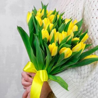 Букет из 25 жёлтых тюльпанов стандарт под ленту