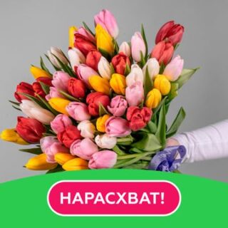 Букет из 51 тюльпана стандарт яркий микс под ленту