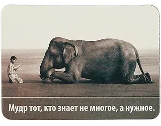 Сувенир МАГНИТИК Магнит 9,5*6,5см "Афоризмы":"Мудр тот, кто знает не многое, а нужное..."