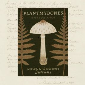 Деревянная брошка PlantMyBones Гриб-зонтик