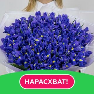 Букет из 101 синего ириса в стильной упаковке