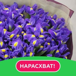 Букет из 51 синего ириса в стильной упаковке