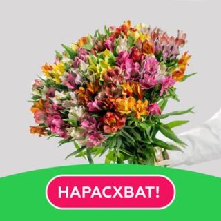 Букет из 51 альстромерий микс под ленту