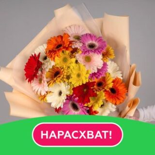 Букет из 25 гербер стандарт микс в стильной упаковке