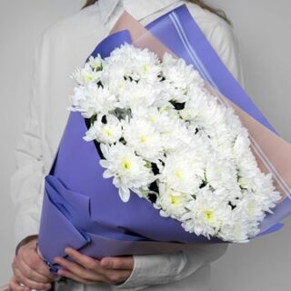 Букет из 7 белых кустовых хризантем в стильной упаковке