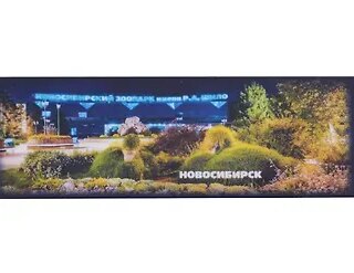 ГС Магнит закатной 115х40мм Новосибирск Зоопарк