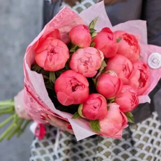 11 коралловых пионов Premium