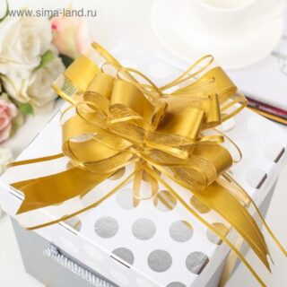 Бант - бабочка No5, золотистый