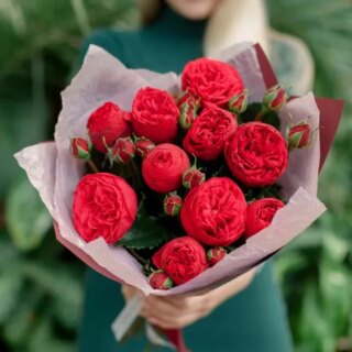 9 красных кустовых пионовидных роз Red Piano 
40 см