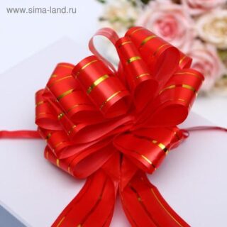 Бант - шар №4.5 «Золотое сечение», красный